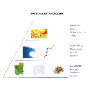 EXTRA HOT BLACK OPULENT 100ML